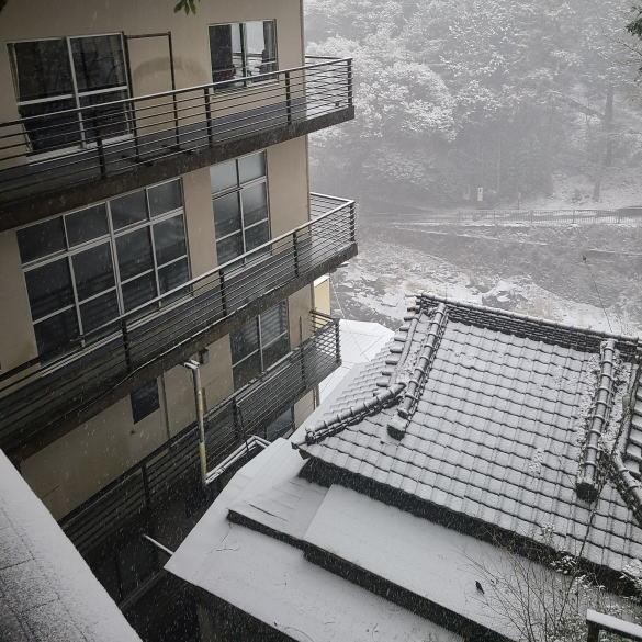 伊豆の雪です。