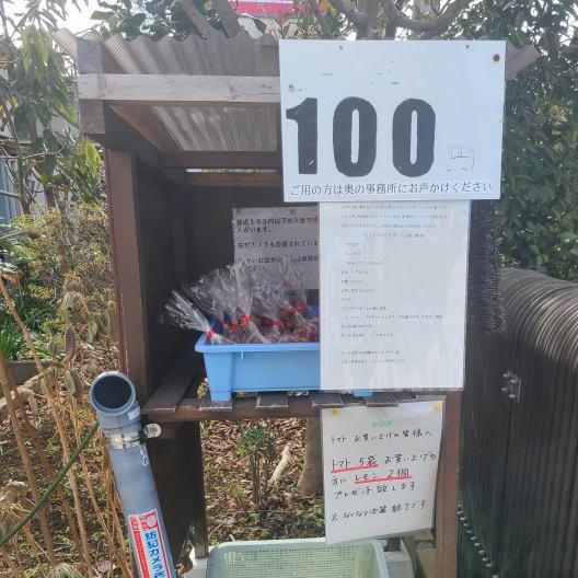 トマト100円無人販売所