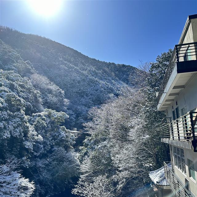 世古峡の雪景色　2026.02.08