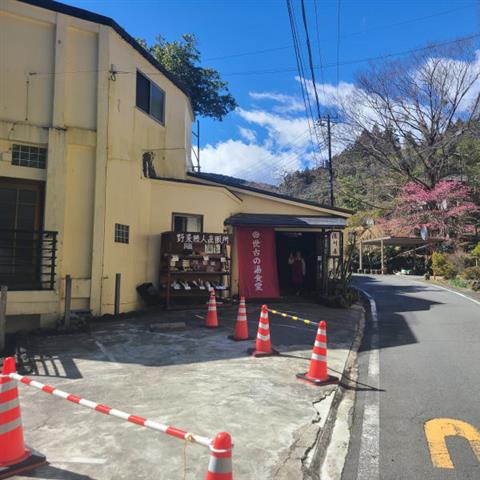 天城湯ヶ島に春が来ました